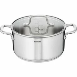 Aktion ✨ Tefal Virtuoso Kochtopf RVS 24cm ✨